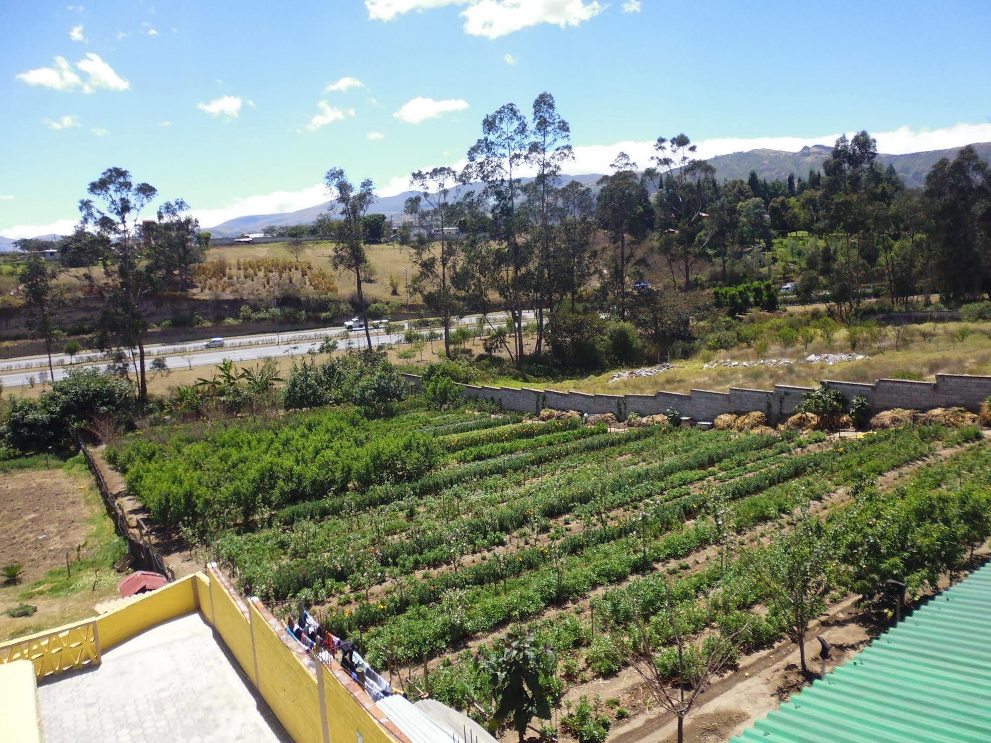 Hotel Residencial El Viajero Табабела Екстер'єр фото